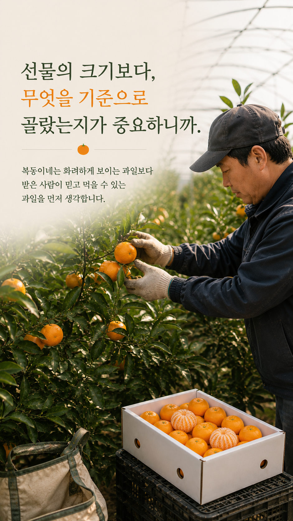상세3