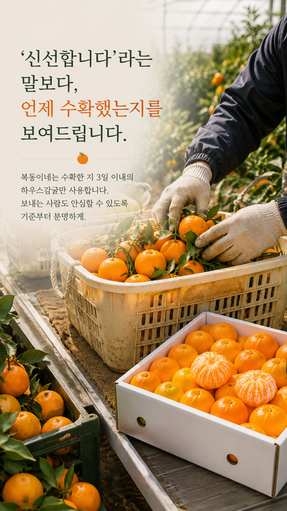 상세4