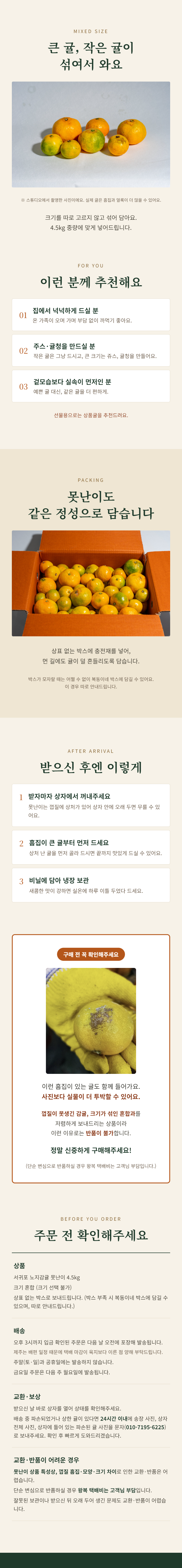 복동이네 못난이 노지감귤 ② 크기~마무리